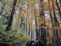 56635029212823994470213345978420435877224856n